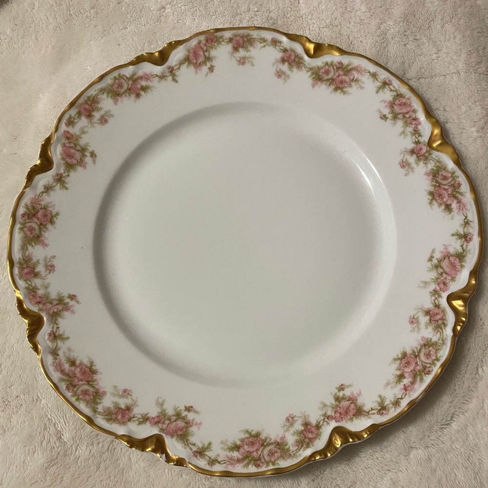 Haviland & Co. Limoges Dinner Plates.
